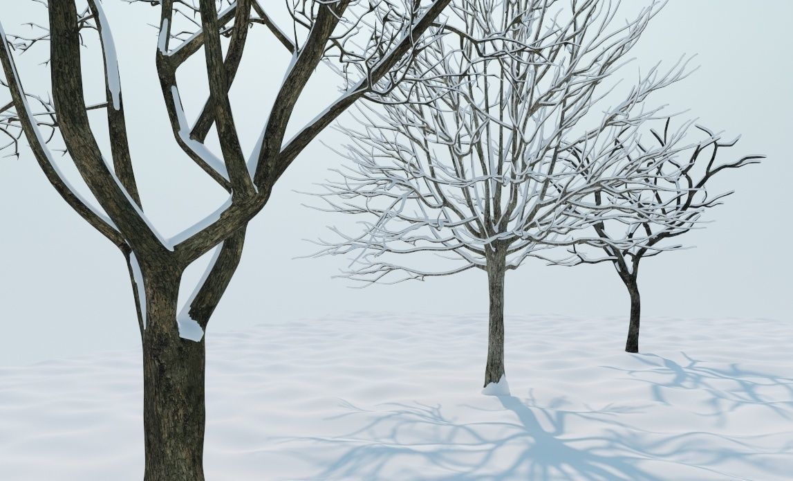 Snow tree 3D model_0