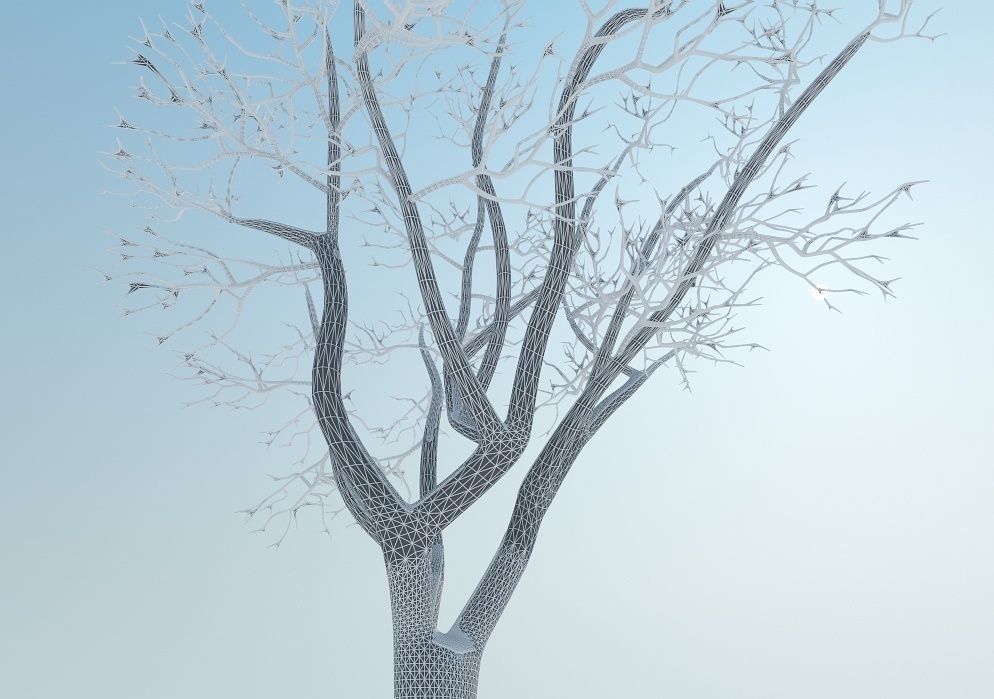Snow tree 3D model_4
