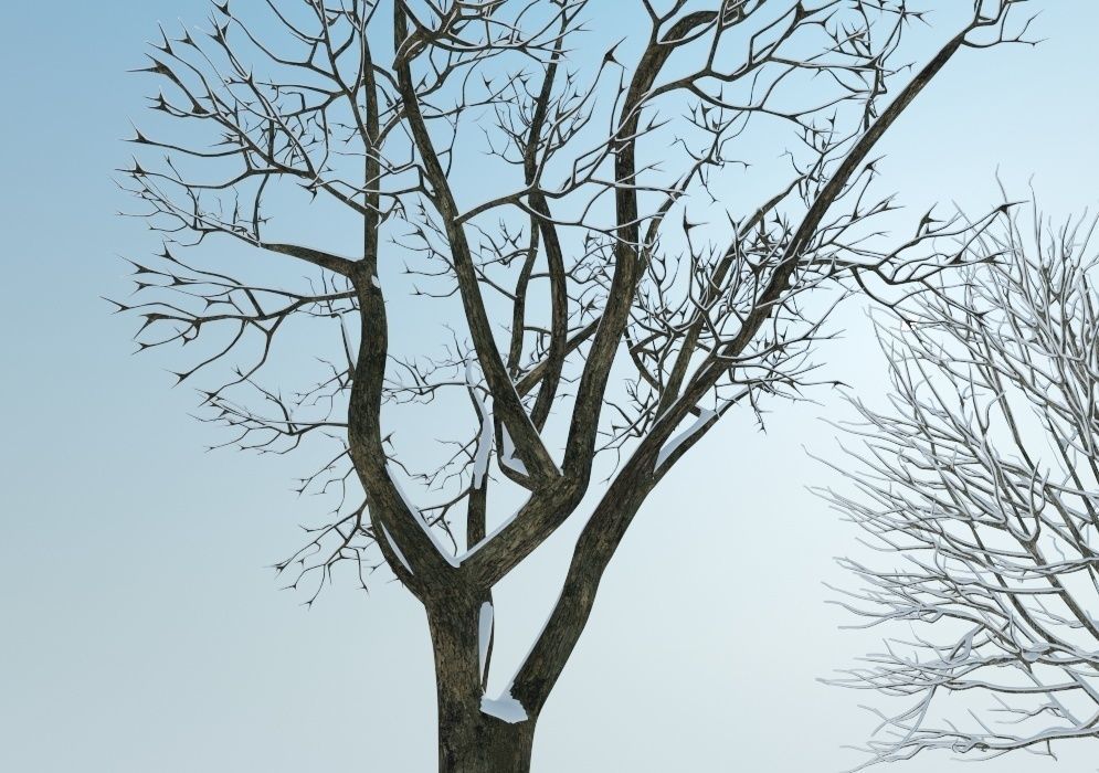 Snow tree 3D model_1