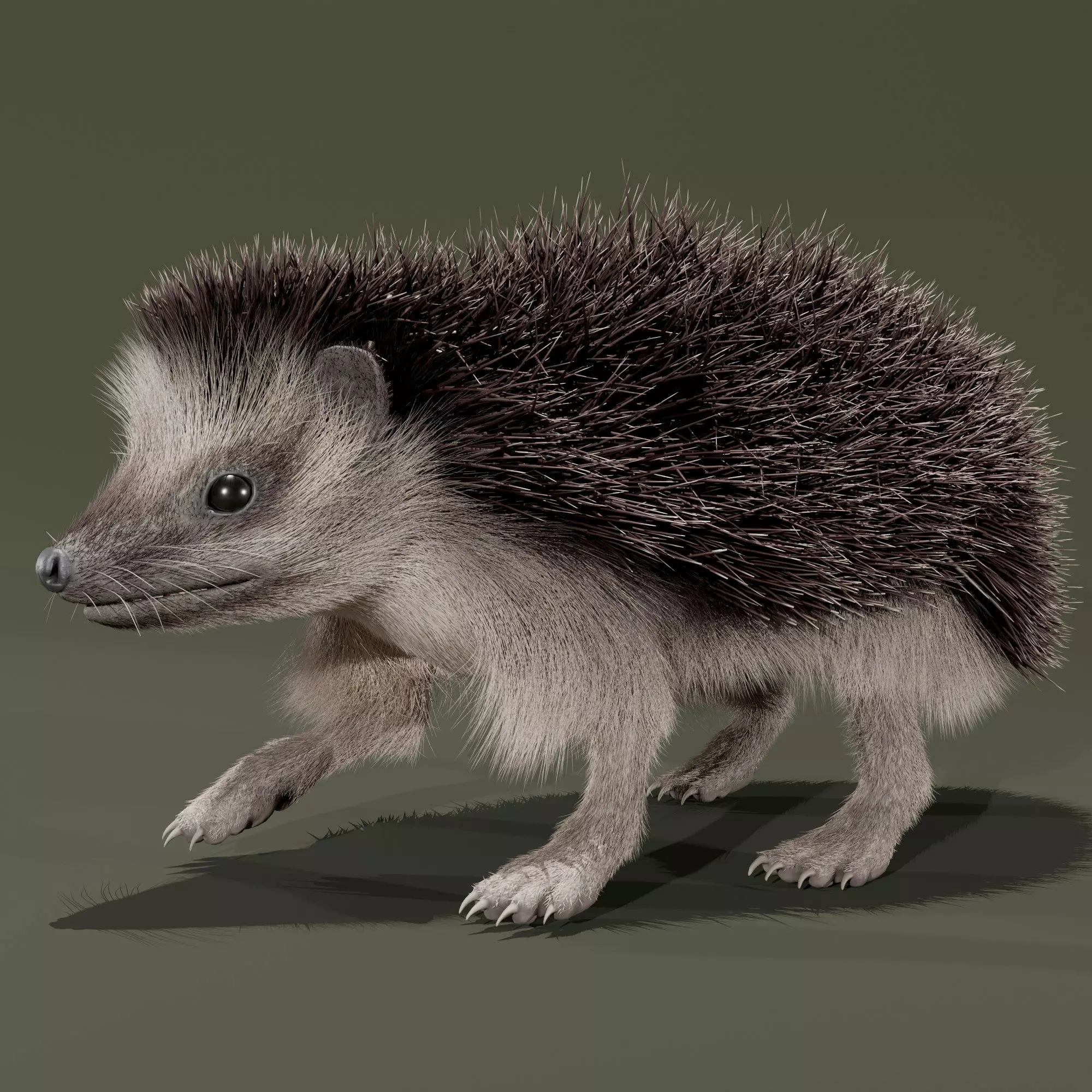 Realistic Animated Hedgehog 3D model
