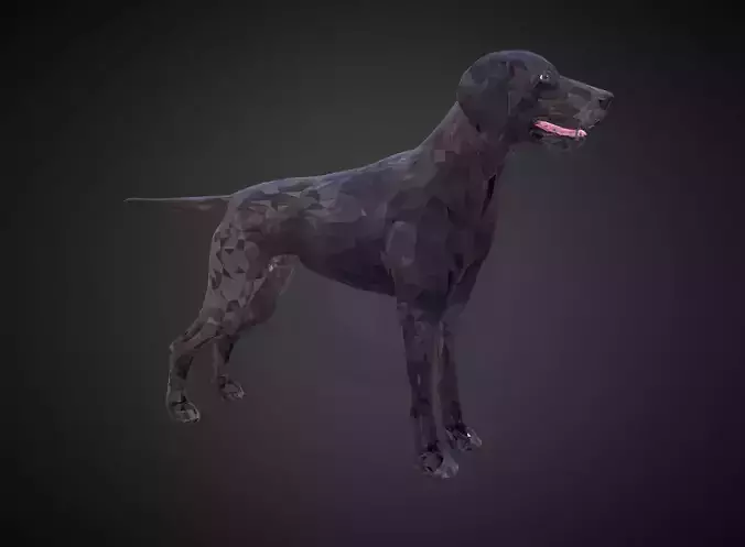 Kurtshaar Black Low Polygon Art Animal