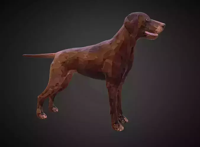 Dog Kurtshaar Brown Low Polygon Art Animal