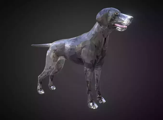 Dog Kurtshaar Grey Low Polygon Art Animal Low-poly 3D model