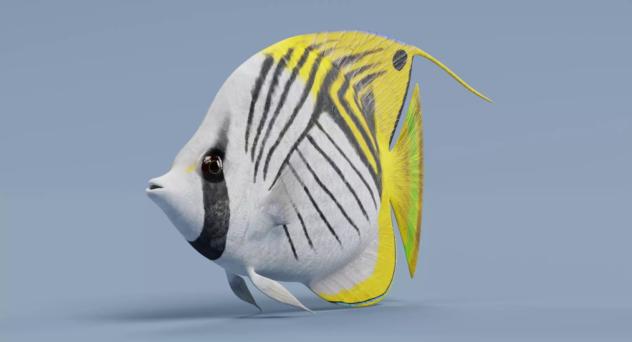 Tropical Fish - Threadfin Butterflyfish 3D model
