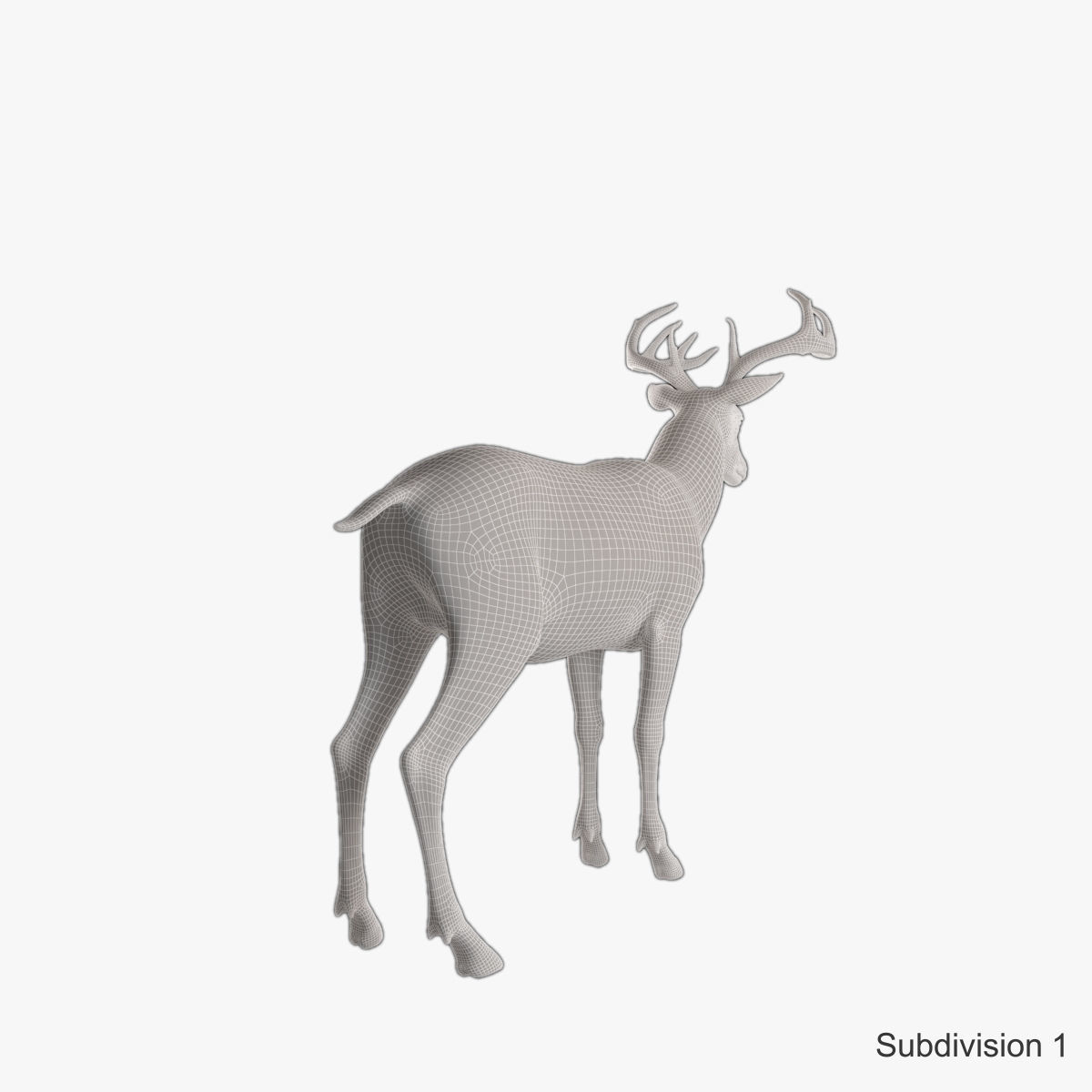 Deer animal Low-poly 3D model_18