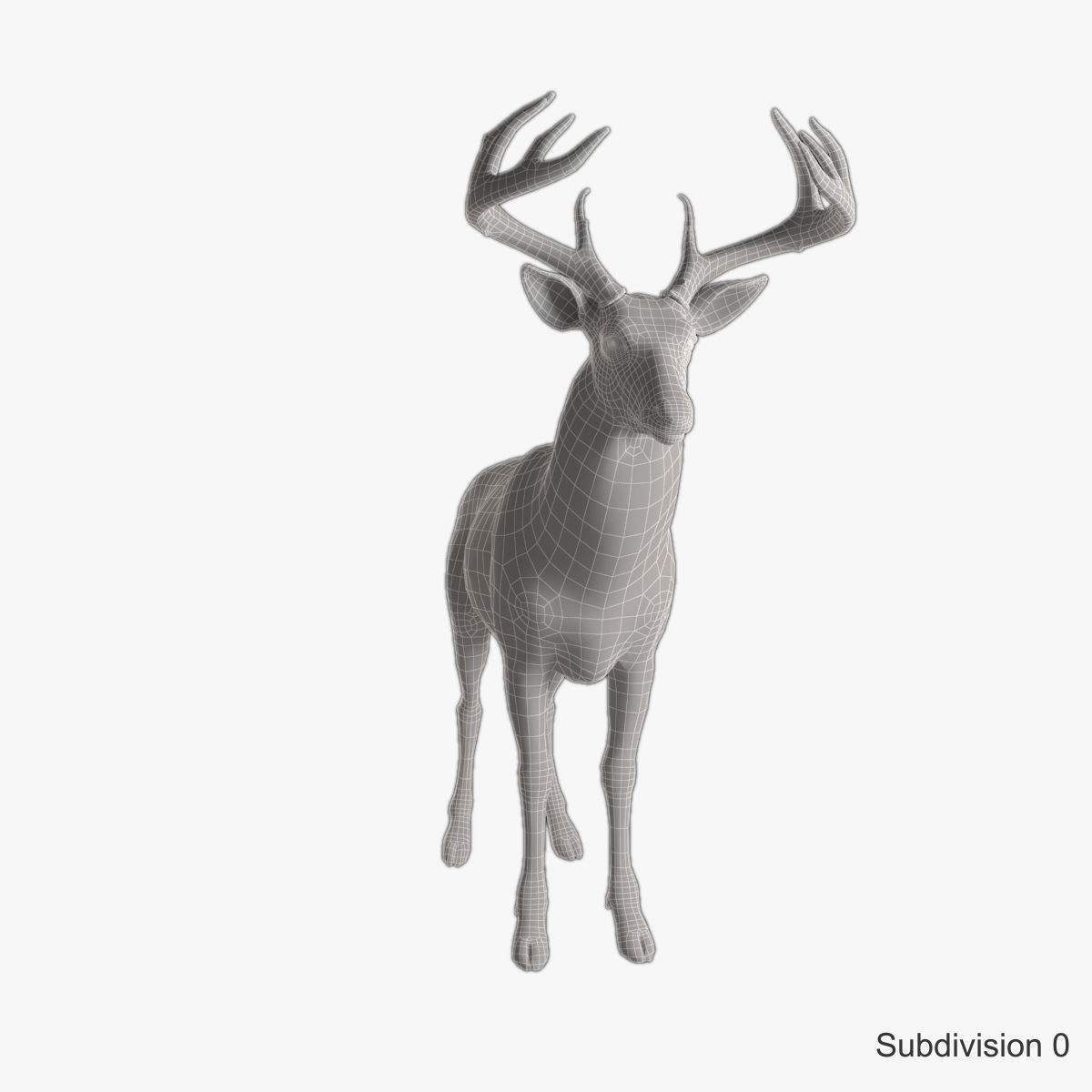 Deer animal Low-poly 3D model_15