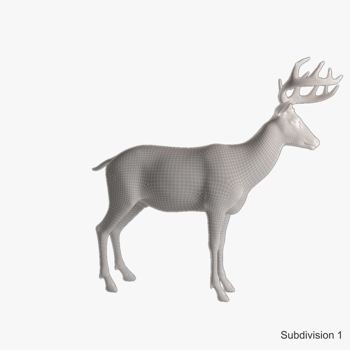 Deer animal Low-poly 3D model_24