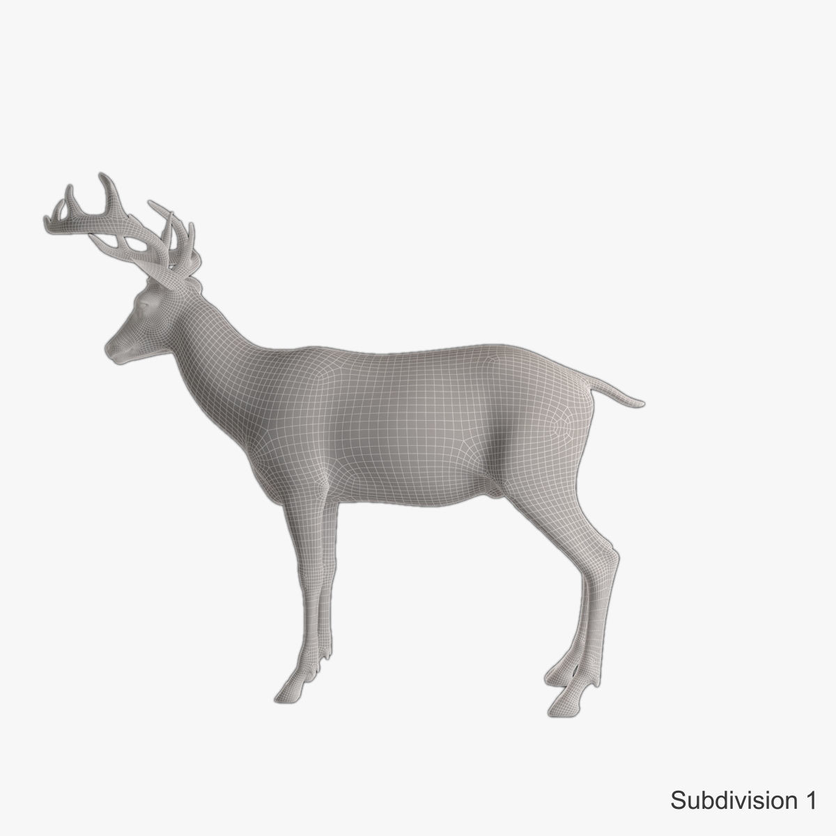 Deer animal Low-poly 3D model_27