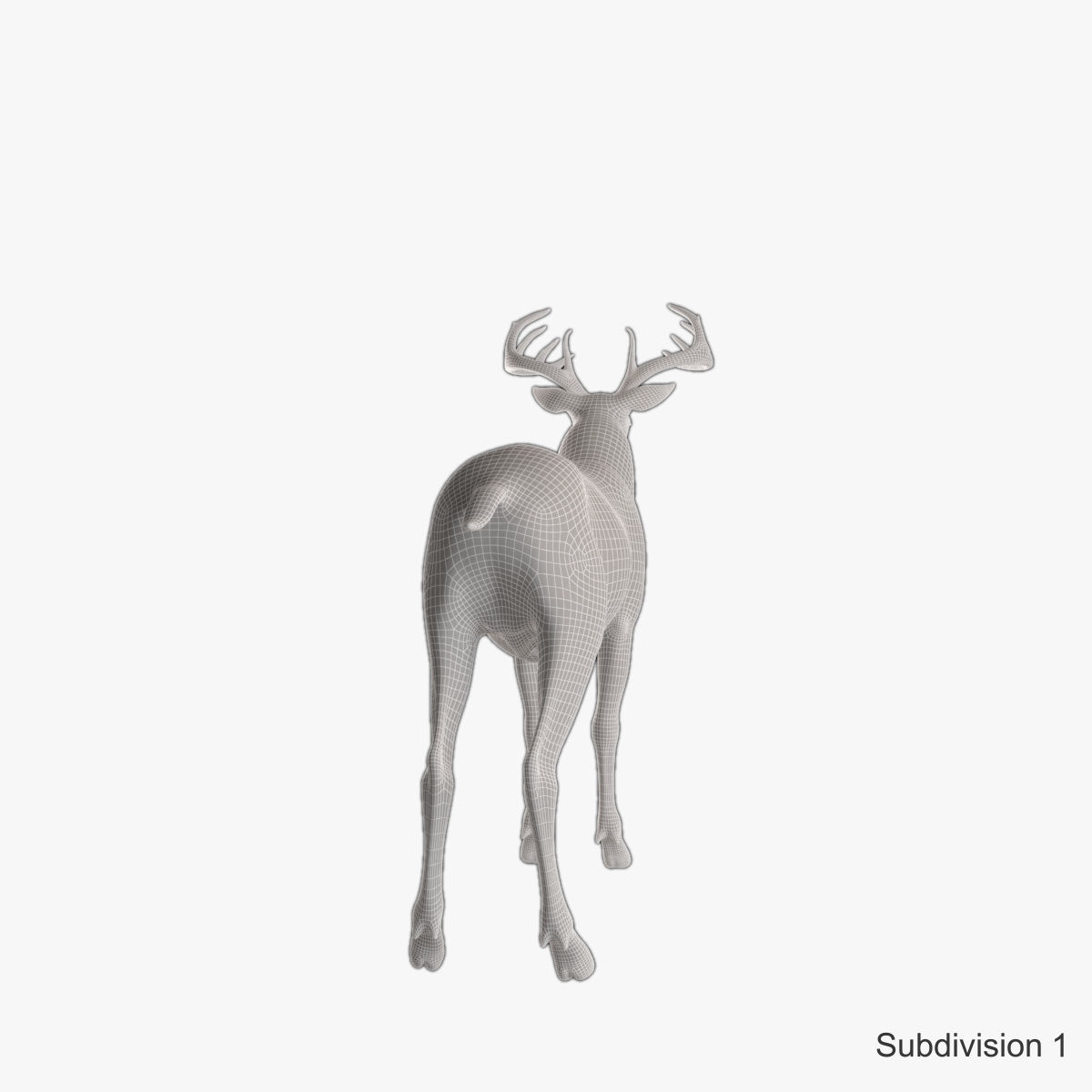 Deer animal Low-poly 3D model_25