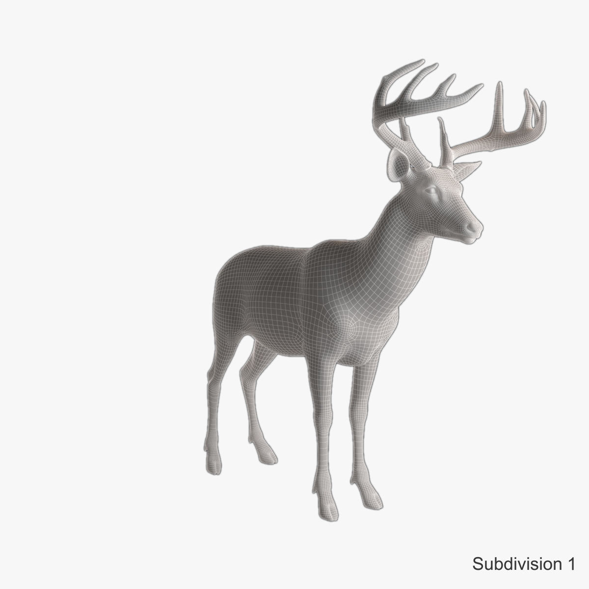 Deer animal Low-poly 3D model_23