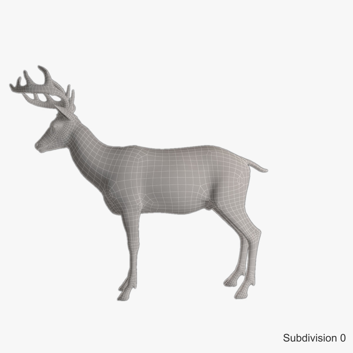 Deer animal Low-poly 3D model_20