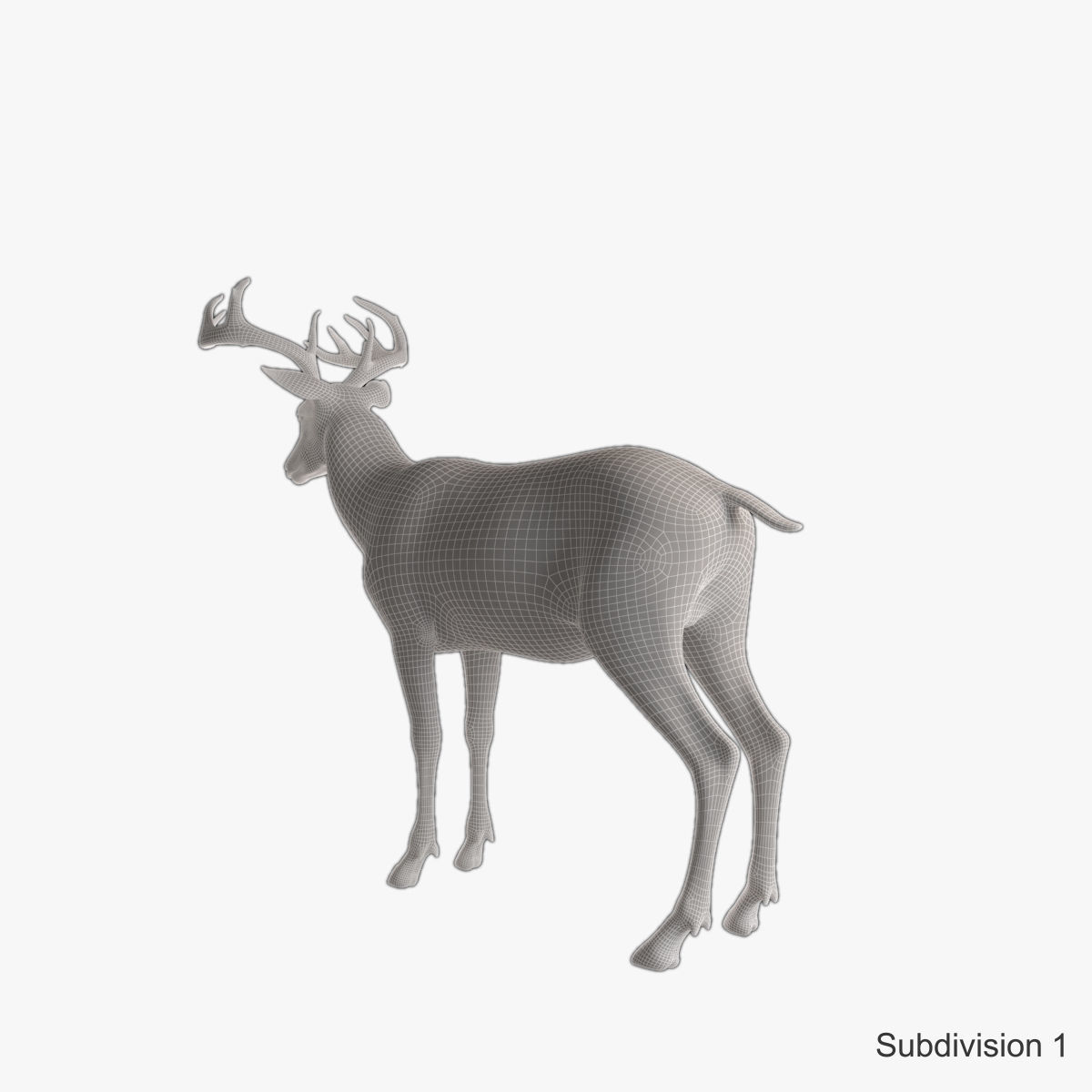 Deer animal Low-poly 3D model_26