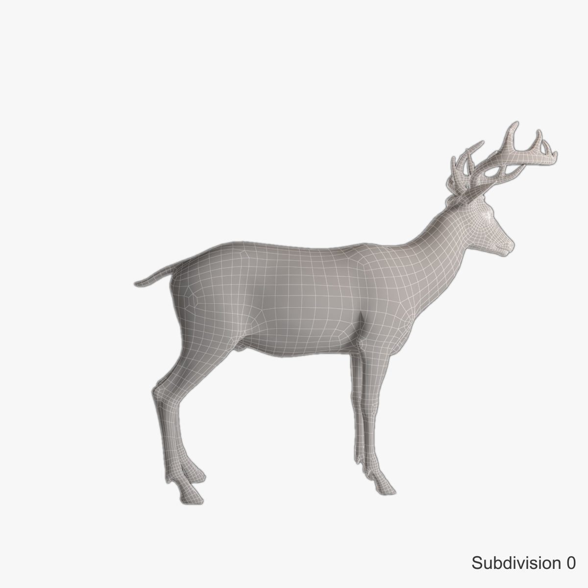 Deer animal Low-poly 3D model_17