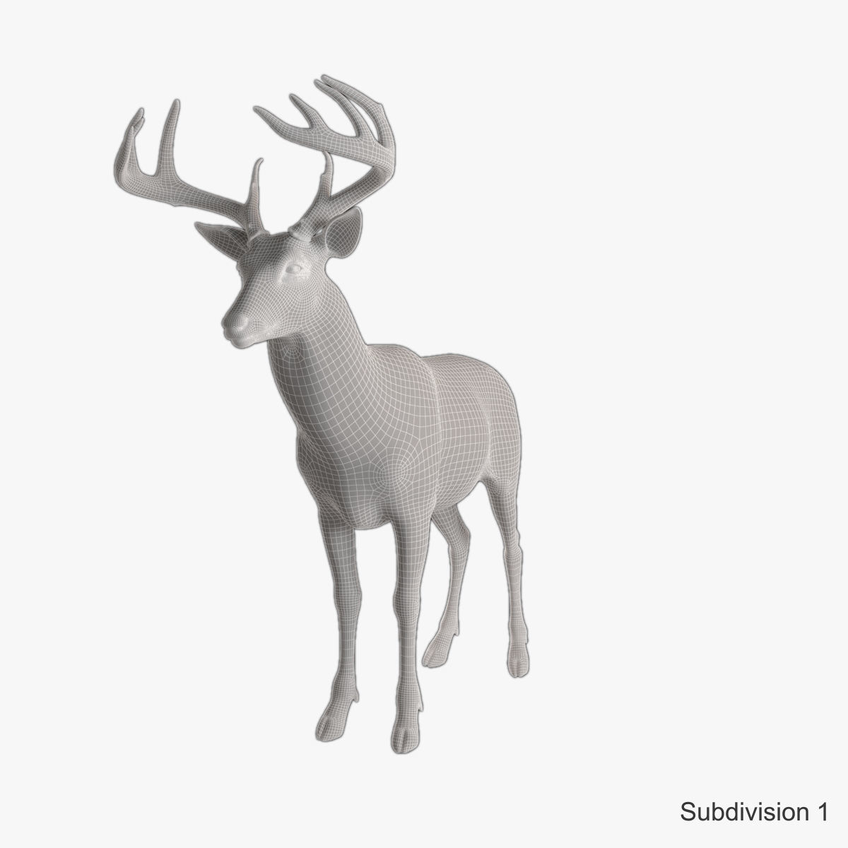Deer animal Low-poly 3D model_28
