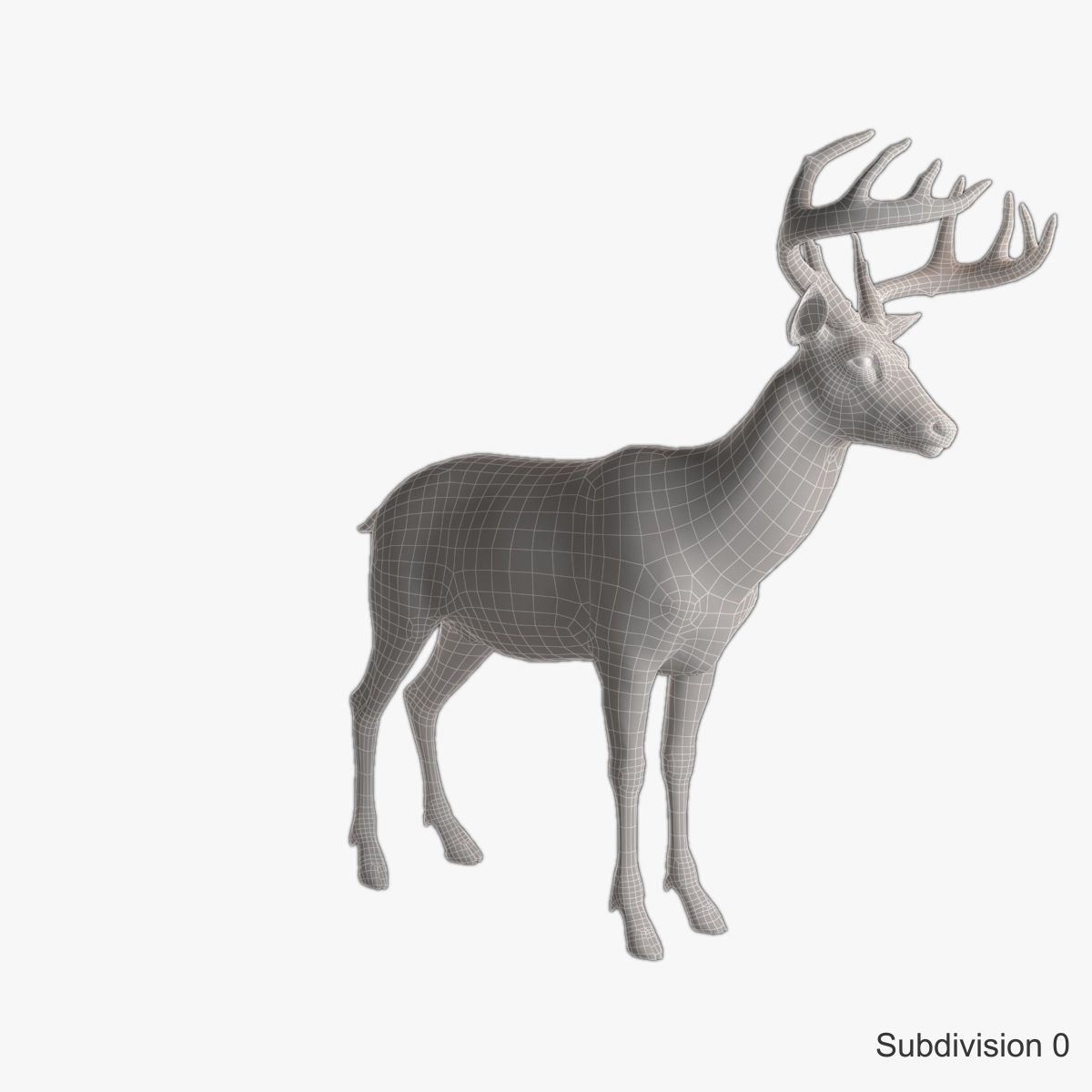 Deer animal Low-poly 3D model_16