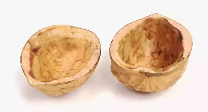 Walnut Shells - Realistic Halves 3D model 2