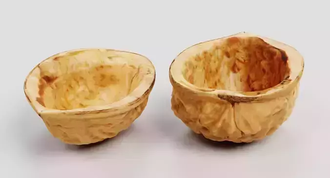 Walnut Shells - Realistic Halves 3D model 5
