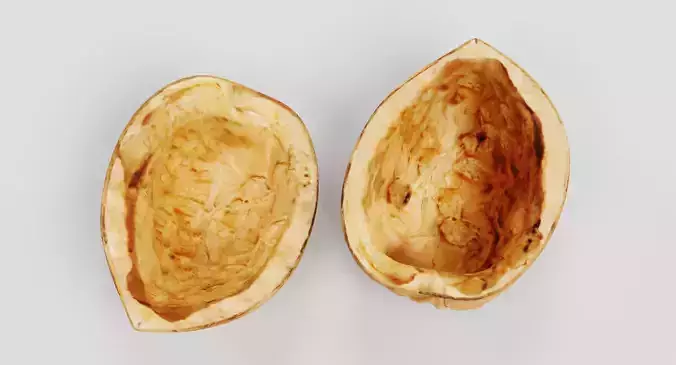 Walnut Shells - Realistic Halves 3D model 4