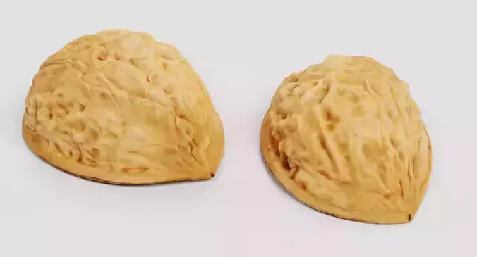 Walnut Shells - Realistic Halves 3D model 7