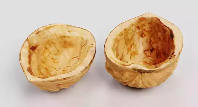 Walnut Shells - Realistic Halves 3D model 3