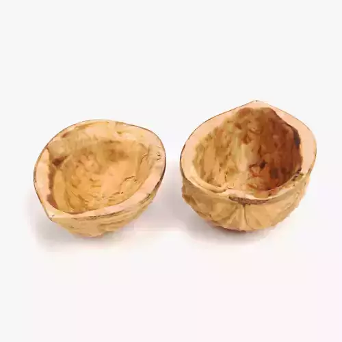 Walnut Shells - Realistic Halves 3D model