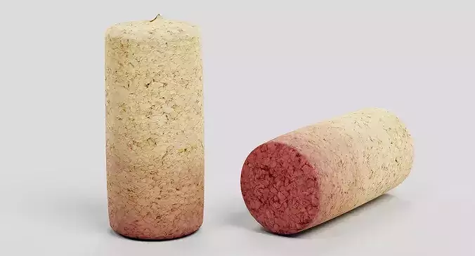 Used Wine Cork - Opened Bottle Stopper 3D model 7