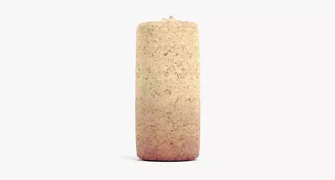 Used Wine Cork - Opened Bottle Stopper 3D model