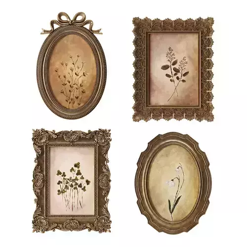 Picture Frames 09