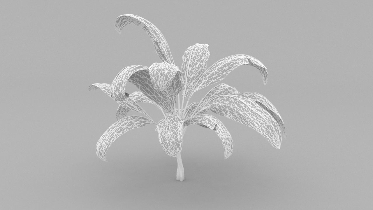plant 3d banana 3D model_2
