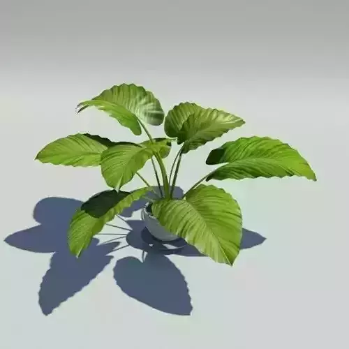Plant 3D model in pot