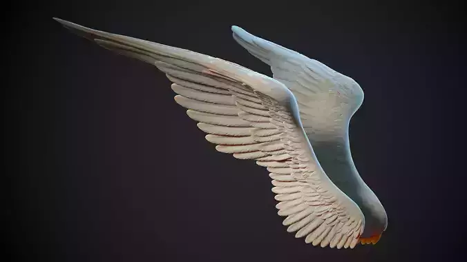 Wings - 3  I 3D Sculpting
