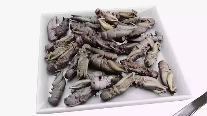 Crickets edible insects 3D model 2