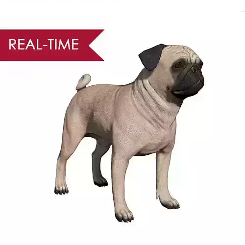 Pug Real-Time Low-poly 3D model