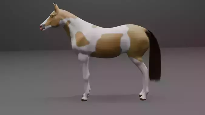 Stylized Paint Horse  Rigged 3D Model