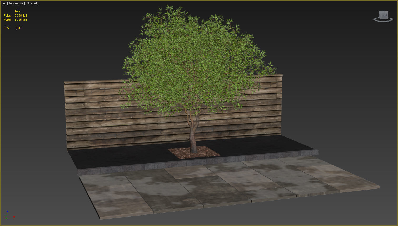 Salix matsudana Tortuosa - Corkscrew Willow 3D model_15