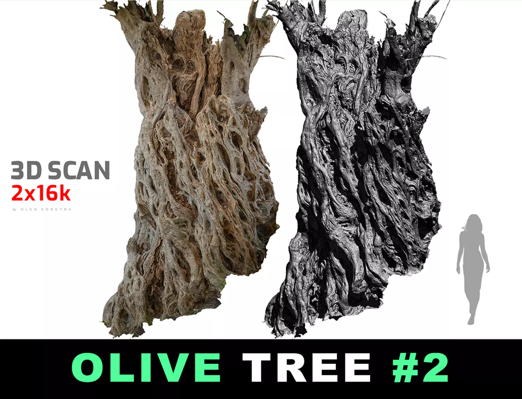 Giant Ancient Olive Tree 2 RAW 3DScan 2x16k 1x16k Textures 3D model