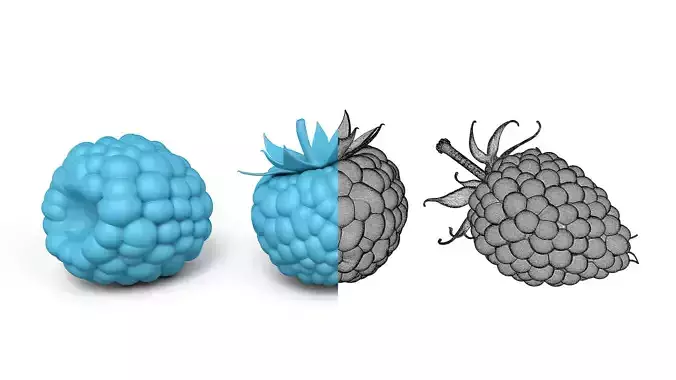 Raspberry and Blueberry Bundle - Various Fruit Varieties 3D print model 3