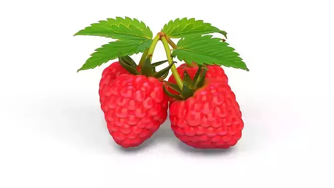 Raspberry and Blueberry Bundle - Various Fruit Varieties 3D print model 6