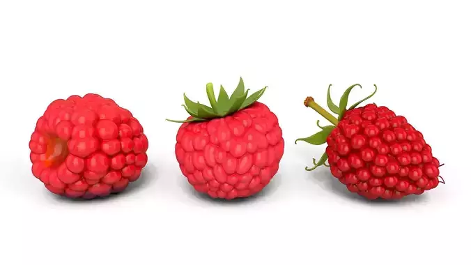 Raspberry and Blueberry Bundle - Various Fruit Varieties 3D print model 2