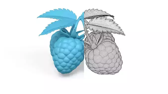 Raspberry and Blueberry Bundle - Various Fruit Varieties 3D print model 7