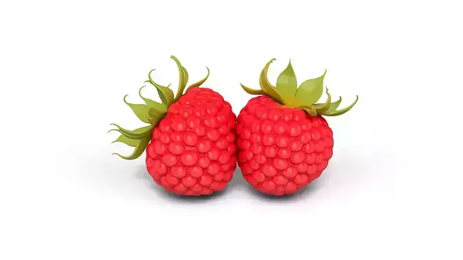 Raspberry and Blueberry Bundle - Various Fruit Varieties 3D print model 4