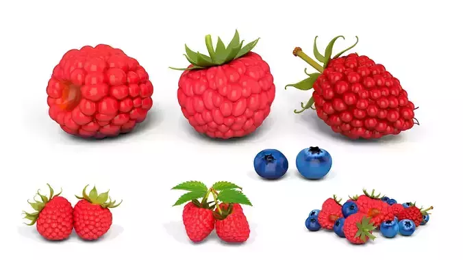 Raspberry and Blueberry Bundle - Various Fruit Varieties 3D print model