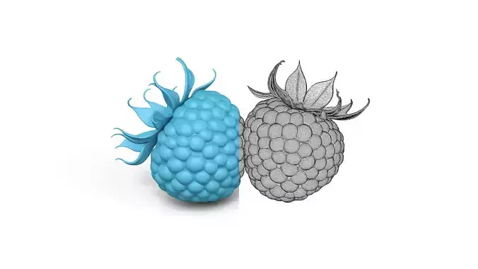 Raspberry and Blueberry Bundle - Various Fruit Varieties 3D print model 5
