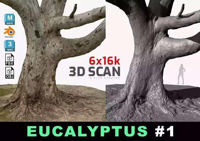 Giant Eucalyptus Tree 3D Scan 10x4k Textures Ultra HQ mesh