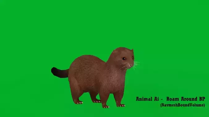 American Mink
