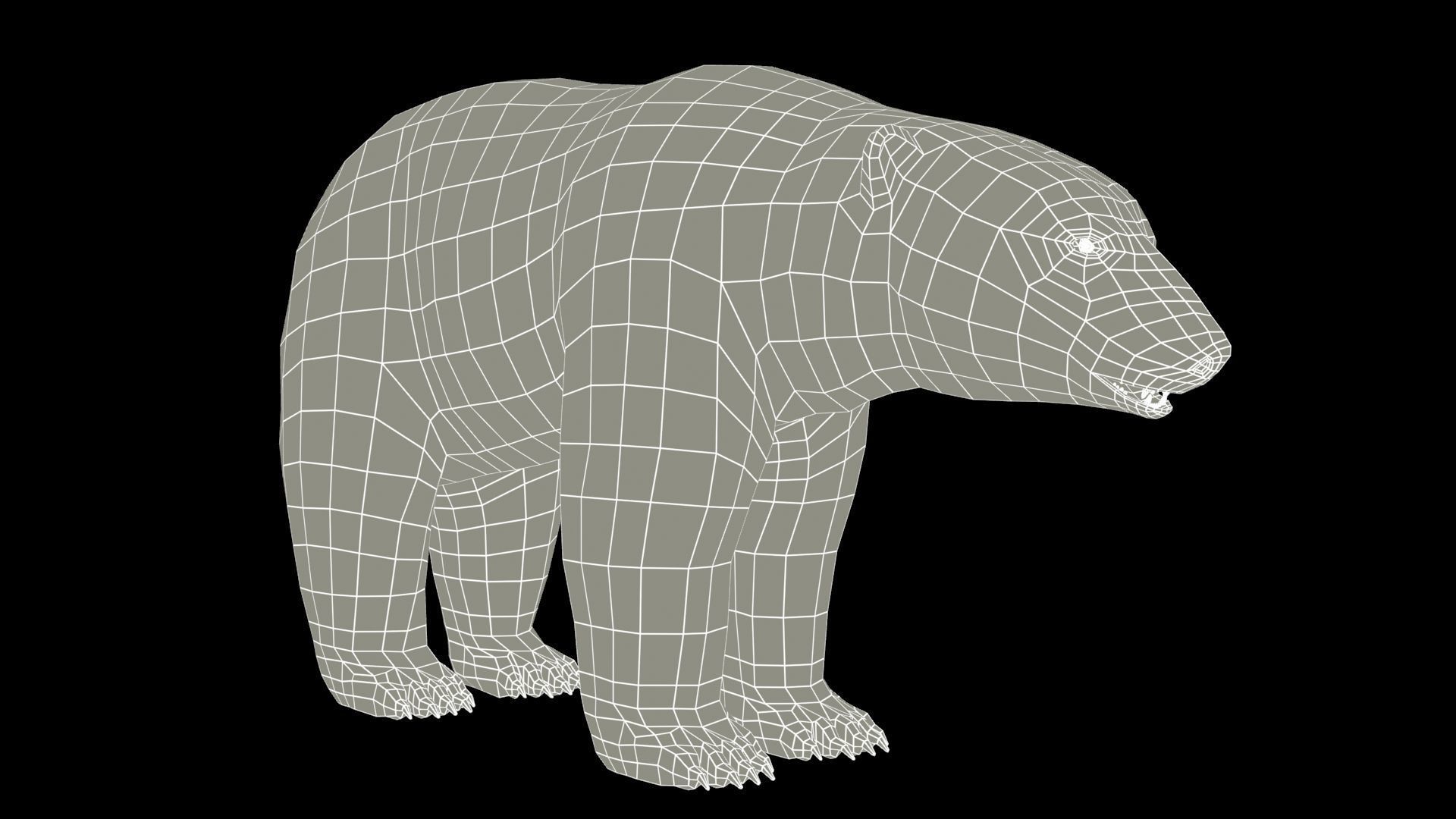 Polar Bear Animated Low-poly 3D model_12