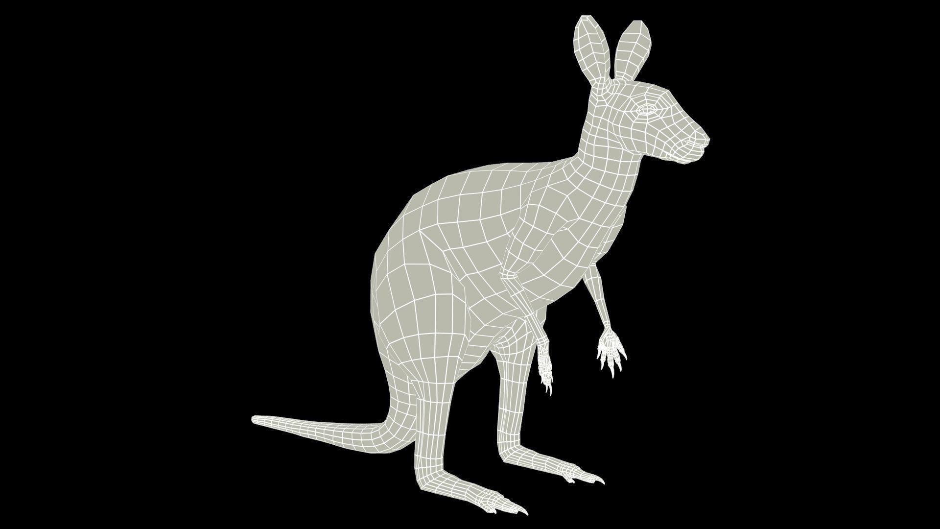 Kangaroo Animated Low-poly 3D model_6