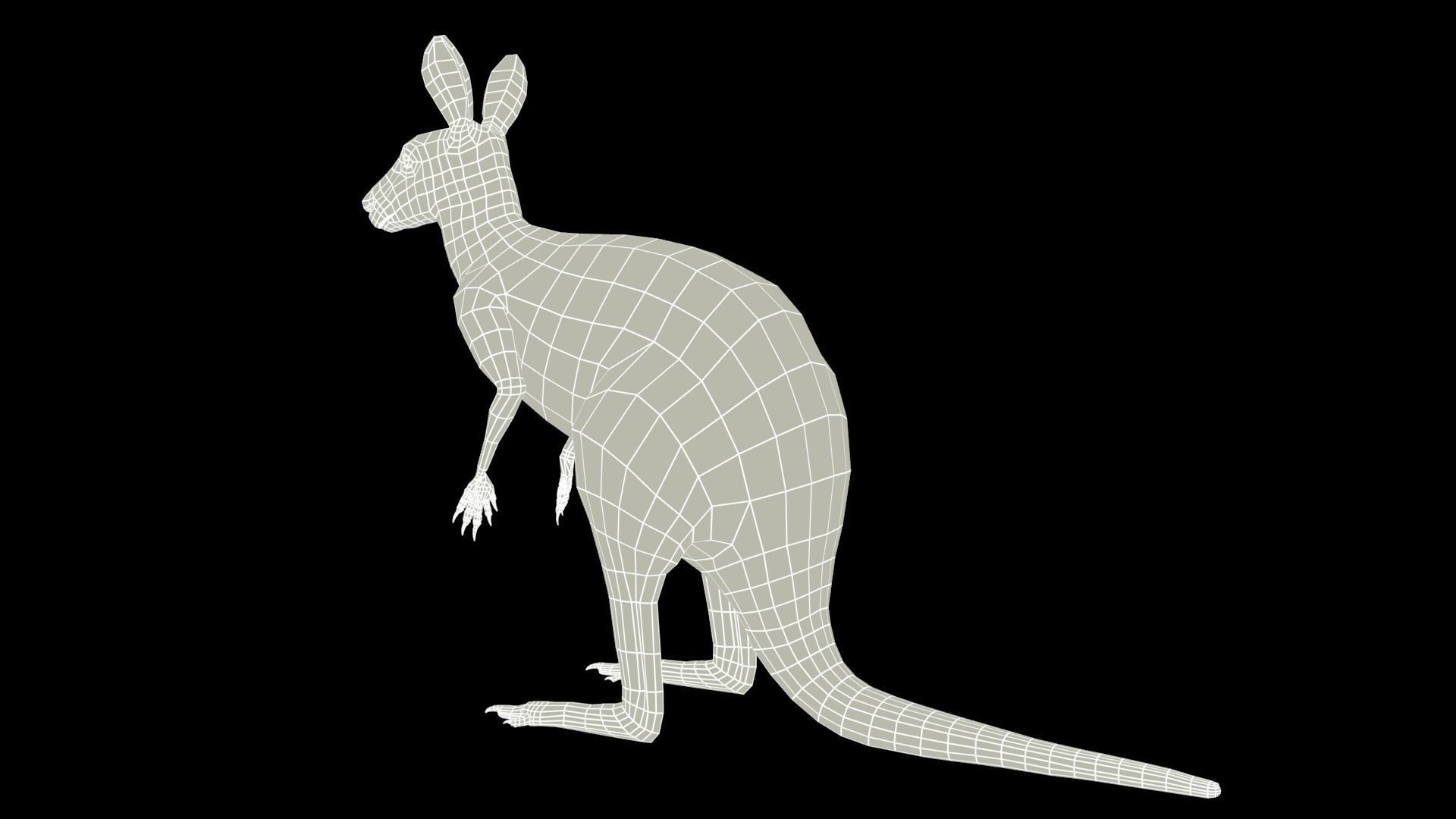 Kangaroo Animated Low-poly 3D model_7