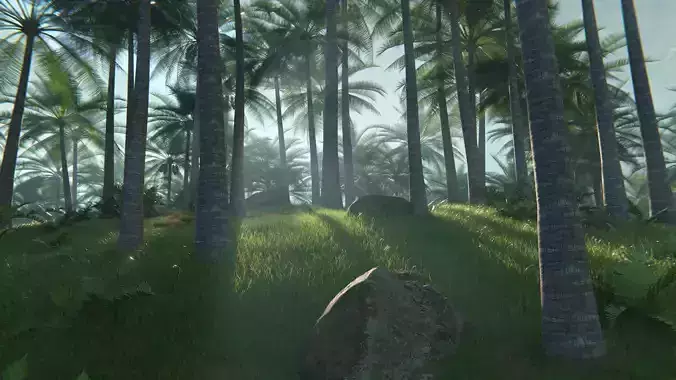 Tropical Palm Forest Environment with Realistic Coconut Trees 3D model