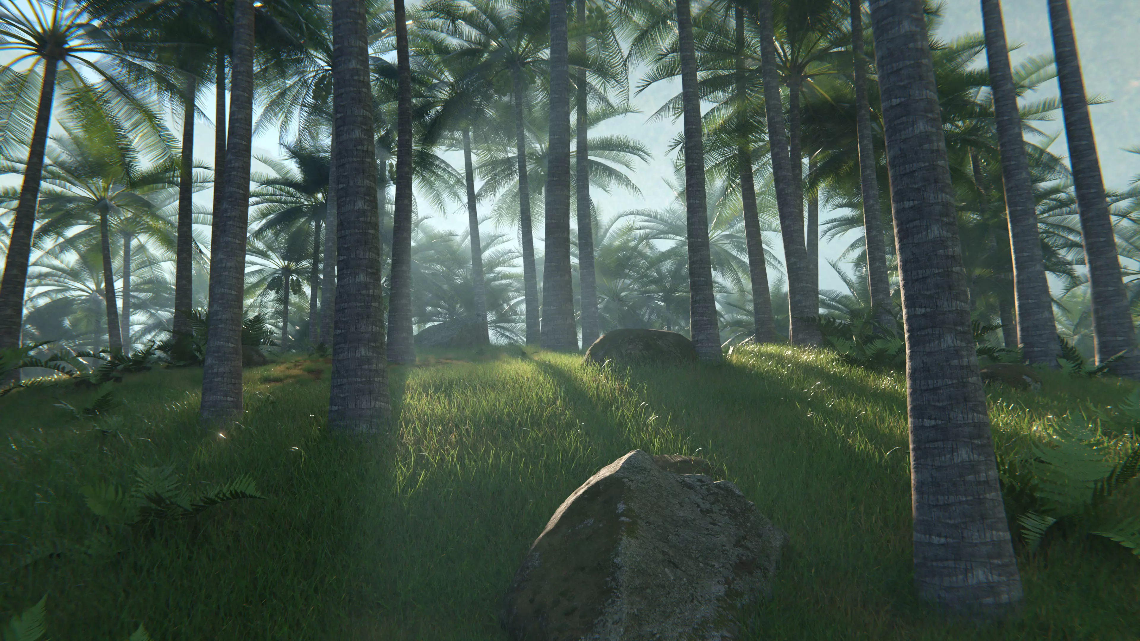Tropical Palm Forest Environment with Realistic Coconut Trees 3D model